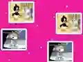 खेल Baby Looney Tunes Match Up ऑनलाइन