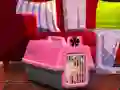 खेल Escape The Small Pug ऑनलाइन