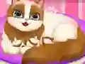 खेल Cute Kitty Pregnant ऑनलाइन