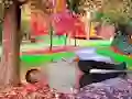 खेल Rescue A Wounded Guy ऑनलाइन