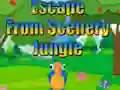 खेल Escape from Scenery Jungle ऑनलाइन