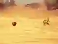 खेल Monkey Shooting ऑनलाइन