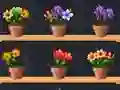खेल Good Flower Master ऑनलाइन