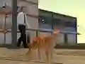 खेल Cat City Simulator ऑनलाइन