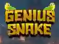 खेल Genius Snake ऑनलाइन