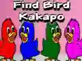 खेल Find Bird Kakapo ऑनलाइन