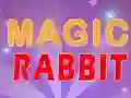 खेल Magic Rabbit ऑनलाइन