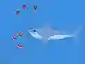 खेल Oceans Shees ऑनलाइन