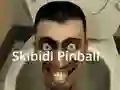 खेल Skibidi Pinball ऑनलाइन