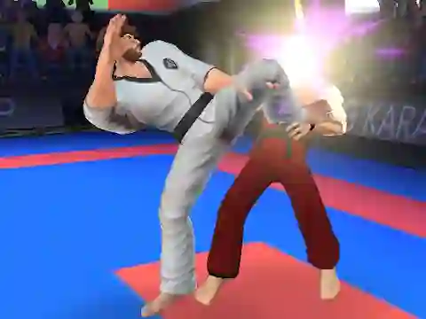 खेल Karate Fighter ऑनलाइन