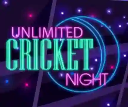खेल Unlimited Cricket Night ऑनलाइन