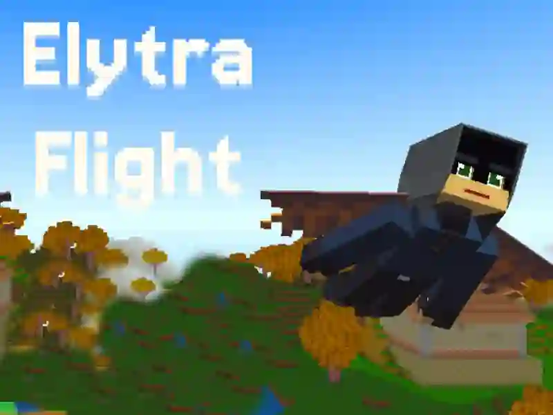 खेल Elytra Flight ऑनलाइन