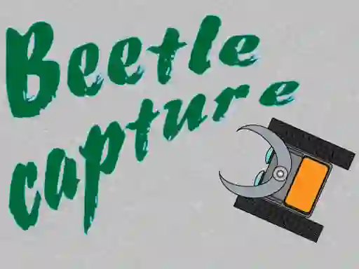 खेल Beetle Capture ऑनलाइन