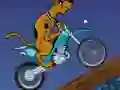 खेल Scooby Doo Trail ऑनलाइन