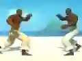 खेल Capoeira fighter ऑनलाइन