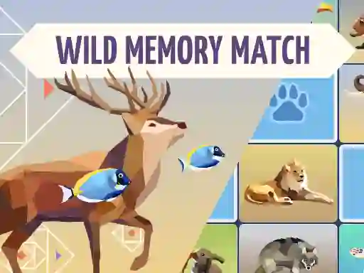 खेल Wild Memory Match ऑनलाइन