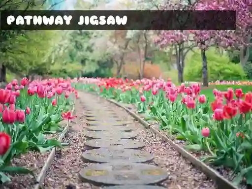 खेल Pathway Jigsaw ऑनलाइन