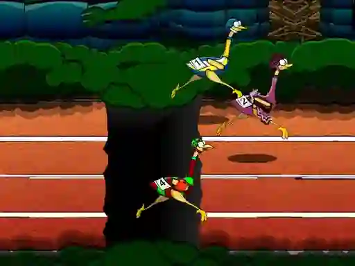 खेल Big Birds Racing ऑनलाइन
