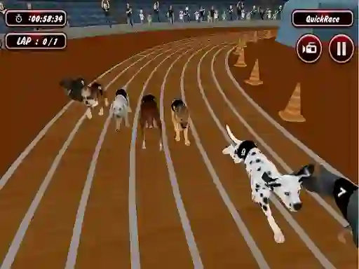 खेल Crazyl Dog Racing Fever ऑनलाइन