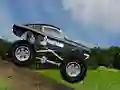 खेल Crazy Mustang ऑनलाइन