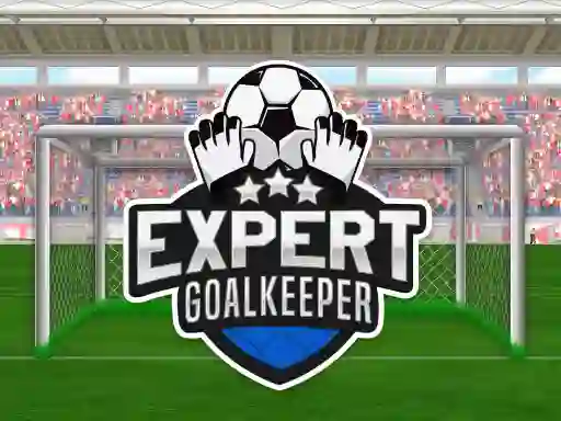 खेल Expert Goalkeeper ऑनलाइन