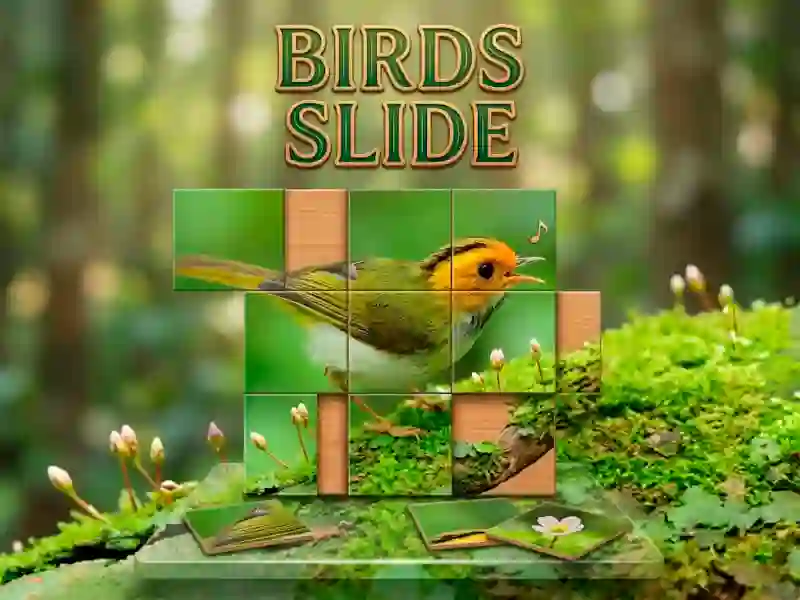खेल Birds Slide ऑनलाइन