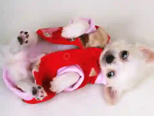 खेल Lovely Puppy Slide ऑनलाइन