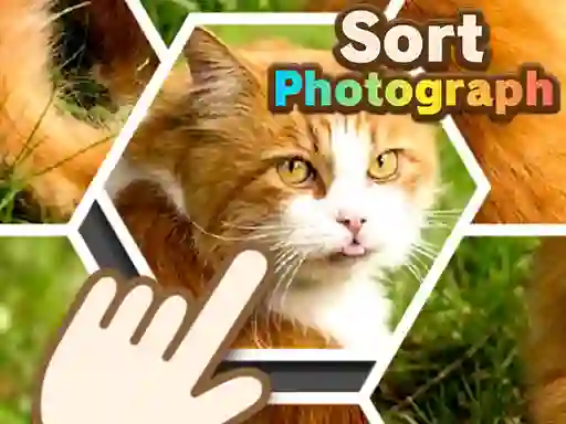 खेल Sort Photograph ऑनलाइन