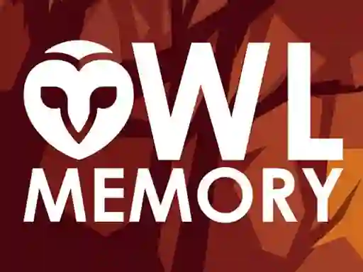 खेल Owl Memory ऑनलाइन