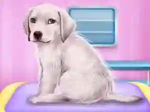 खेल Labrador at the doctor salon ऑनलाइन