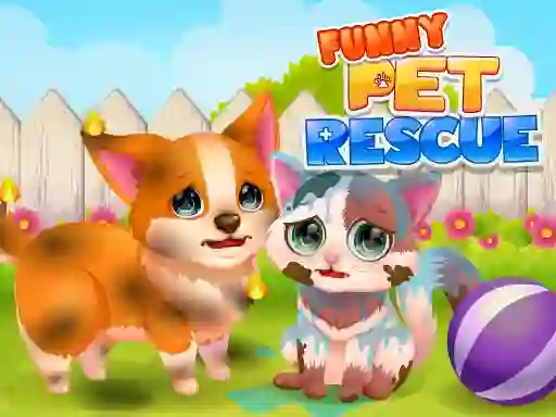 खेल Funny Rescue Pet ऑनलाइन