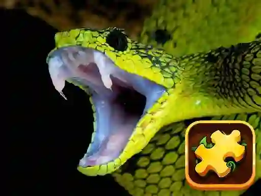 खेल Snake Puzzle Challenge ऑनलाइन