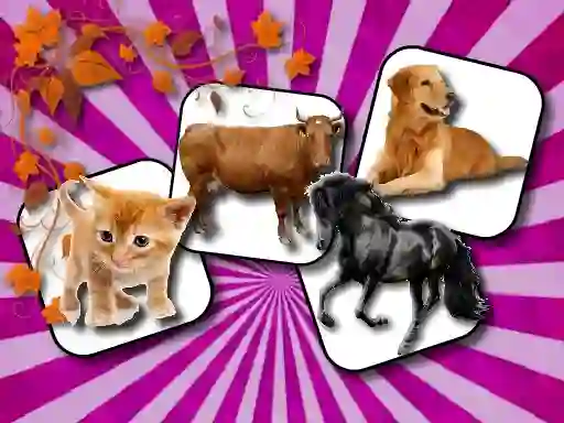 खेल Domestic Animal Memory Challenge ऑनलाइन