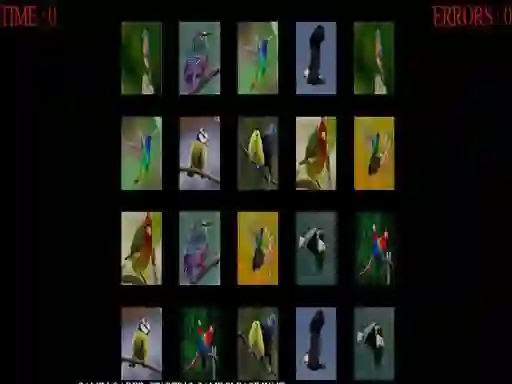खेल Memorize the birds ऑनलाइन