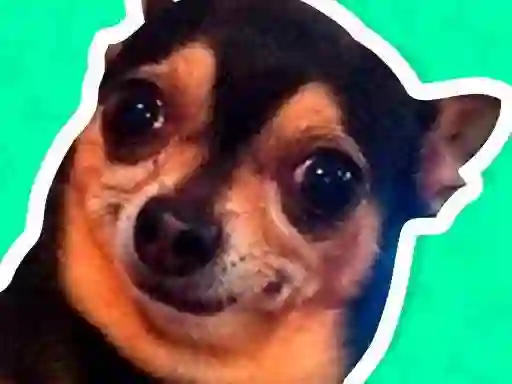 खेल What meme dog are you ? ऑनलाइन