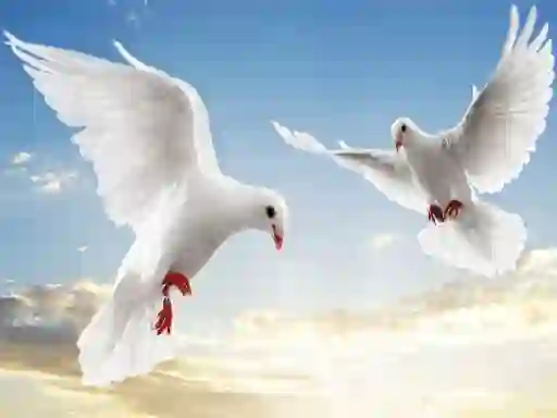 खेल Flying Birds ऑनलाइन