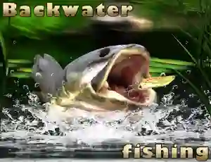 खेल Backwater Fishing ऑनलाइन