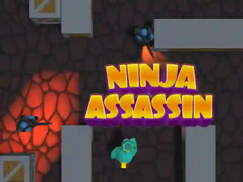 खेल Ninja Assassin ऑनलाइन