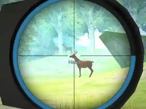 खेल Hunter Training ऑनलाइन