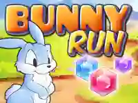 खेल Bunny Run ऑनलाइन