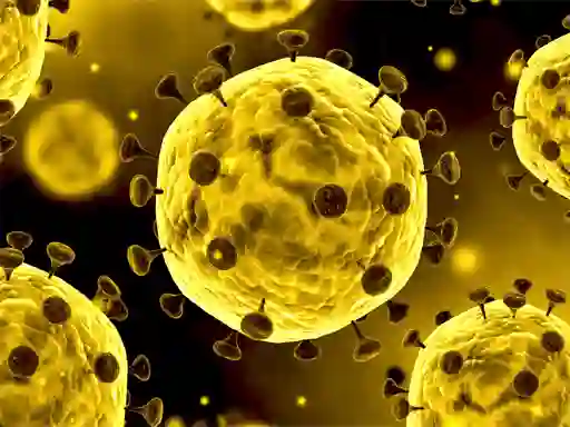 खेल Coronavirus Slide ऑनलाइन