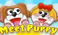 खेल Meet Puppy ऑनलाइन