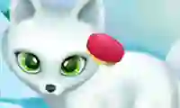 खेल Paws to Beauty Arctic Edition ऑनलाइन