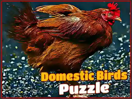 खेल Domestic Birds Puzzle ऑनलाइन