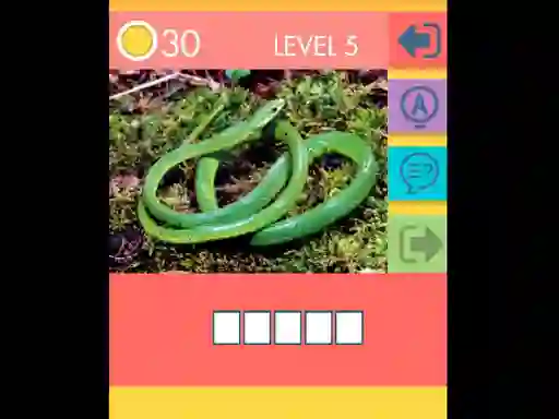 खेल 15 Picture Quiz ऑनलाइन