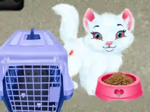 खेल Baby Taylor Pet Care ऑनलाइन