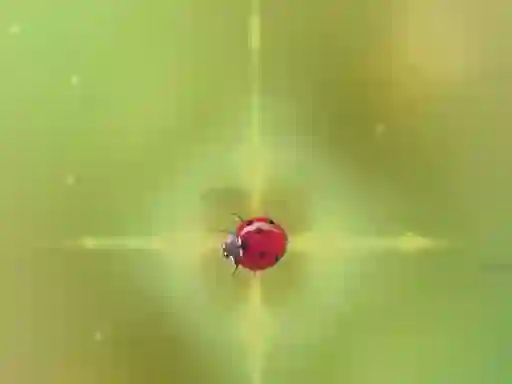 खेल Pest Control ऑनलाइन