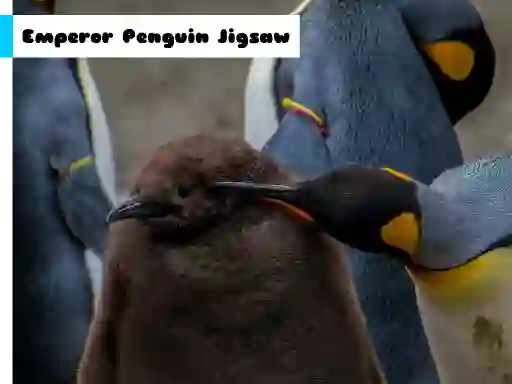 खेल Emperor Penguin Jigsaw ऑनलाइन