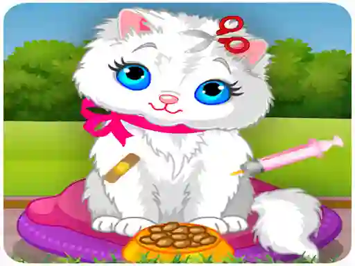 खेल Vet Cat Clinic ऑनलाइन