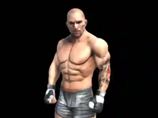 खेल Fight Arena Online ऑनलाइन